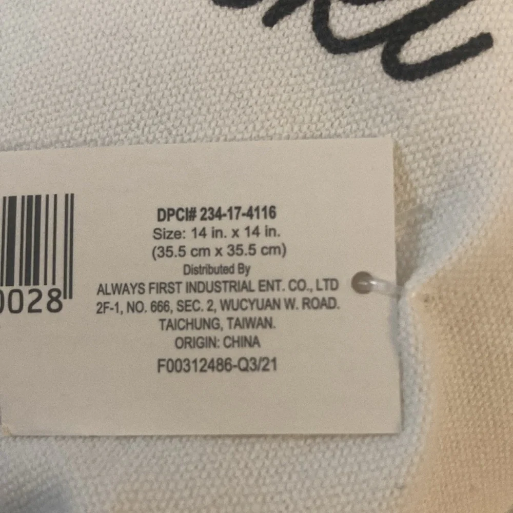 Target BP 2021 Christmas Ski Lodge Pillow